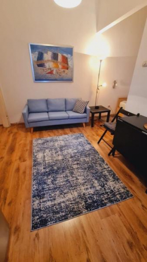 Beogradjanka CITY CENTAR cozy apartment